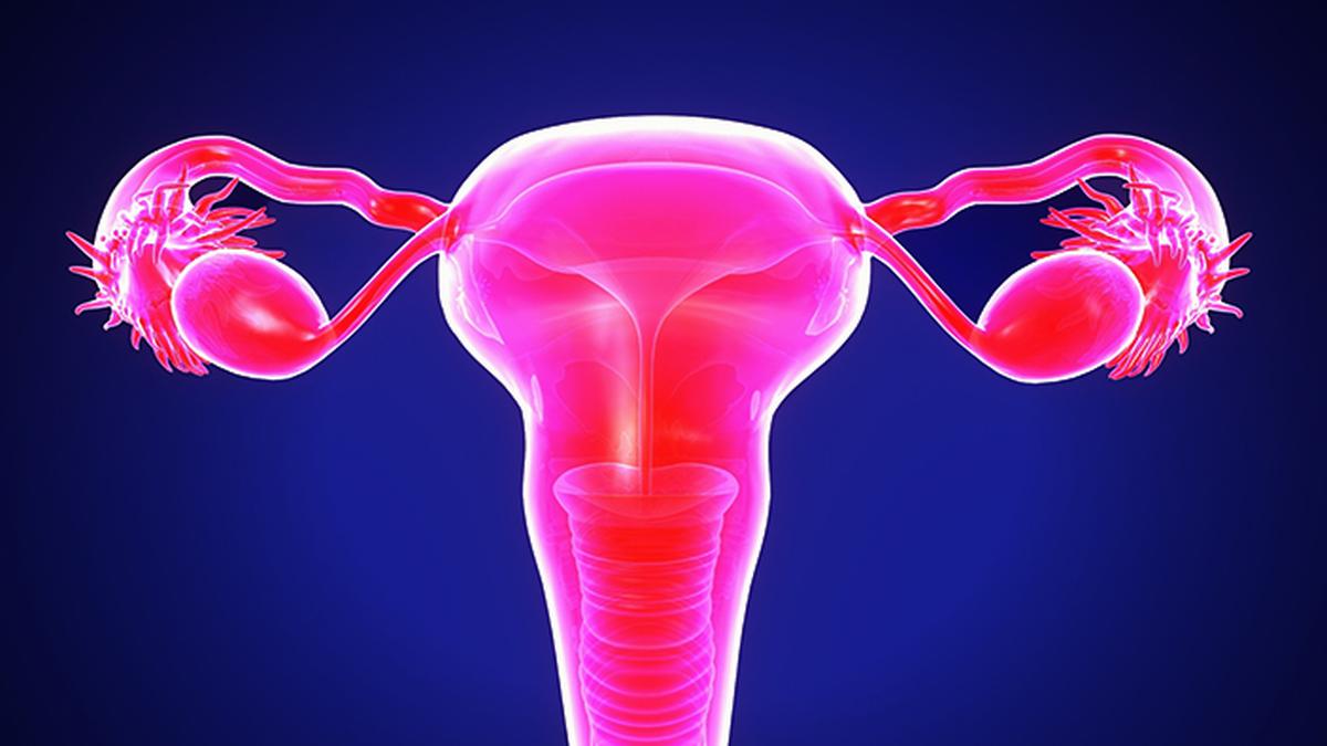 Metabolic Syndrome Study